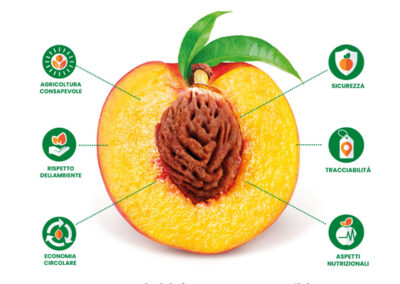 European products, the quality supply chain (EUQUAS)